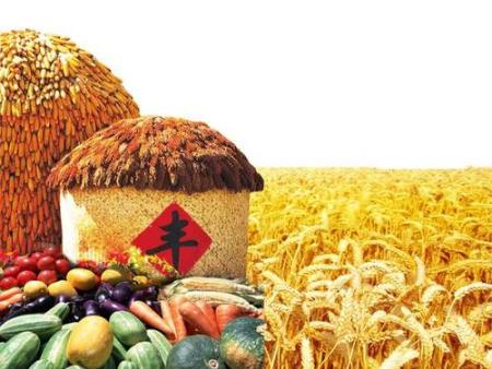 乐鱼综合体育：松兹大街展开通和金水湾亮化工程